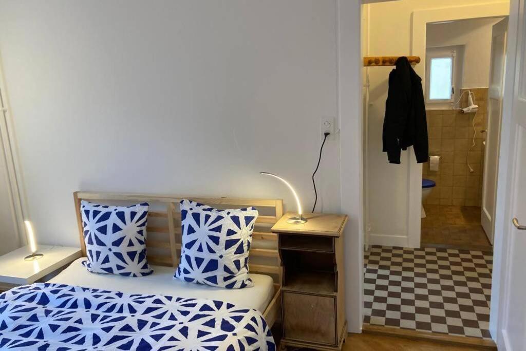 Parking & Appartement 2 Pieces Sans Traffic 洛桑 外观 照片