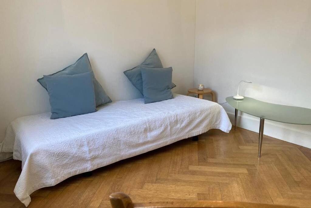 Parking & Appartement 2 Pieces Sans Traffic 洛桑 外观 照片